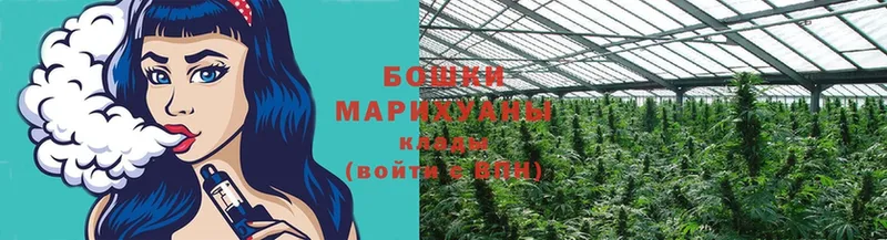 Каннабис Ganja  Бор 